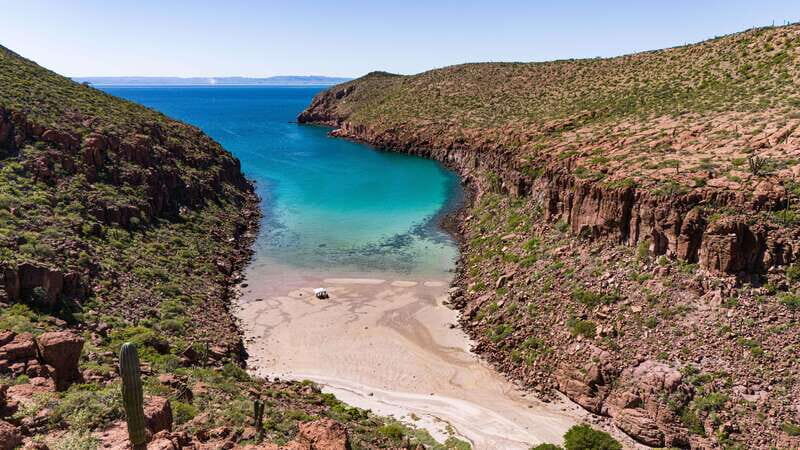 Espiritu Santo Island: Snorkeling Sea Lion Adventure - Final Thoughts: Is It Worth It?