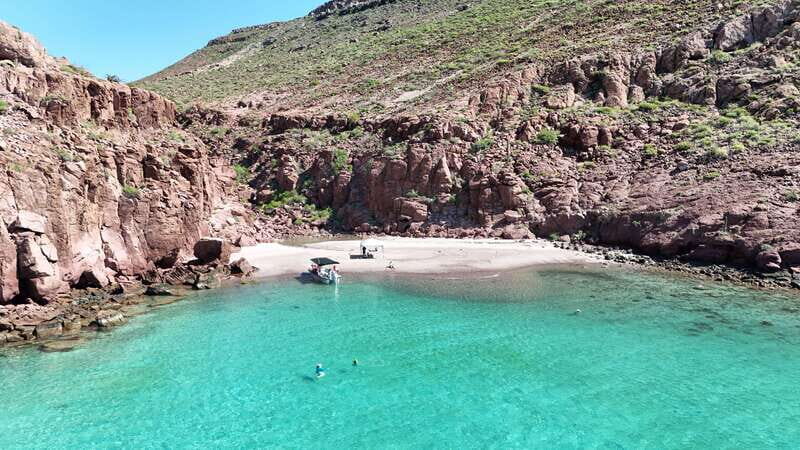 Espiritu Santo Island: Snorkeling Sea Lion Adventure - FAQs