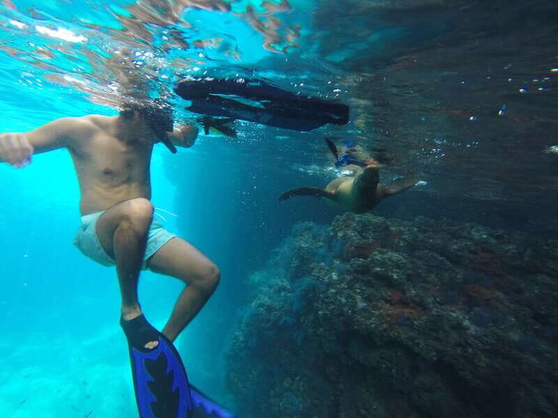 Espiritu Santo Snorkeling and Sea Lion Adventure - An In-Depth Look at the Tour Experience
