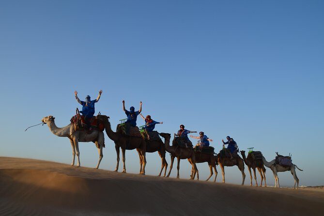 Essaouira: 1/2 Day Camel ride with meal. - An In-Depth Look at the Tour