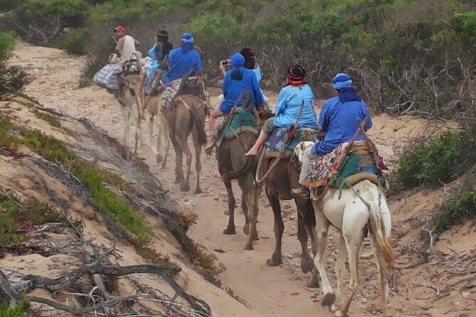 Essaouira 1 hour discovery ride on the back of a camel - Who Should Consider This Tour?