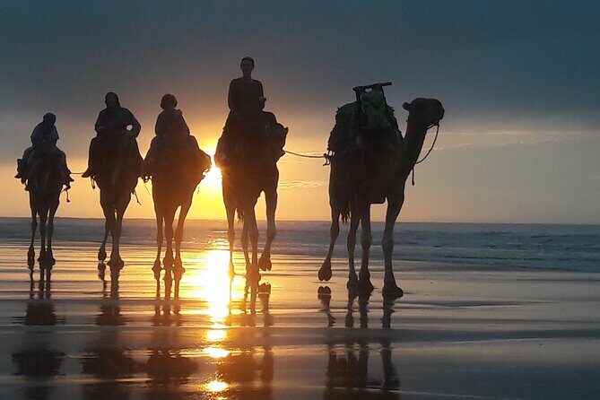 Essaouira 1 hour discovery ride on the back of a camel - Concluding Thoughts