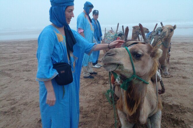 Essaouira: 1 Hour Dromedary + 2 Hours Quad - Who Would Love This Tour?