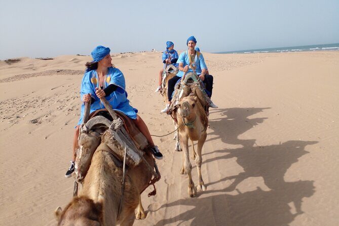 Essaouira: 1 Hour Dromedary + 2 Hours Quad - Final Thoughts