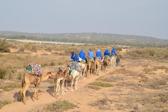 Essaouira 2-Hour Camel Adventure Ride - Final Thoughts: Is It Worth It?