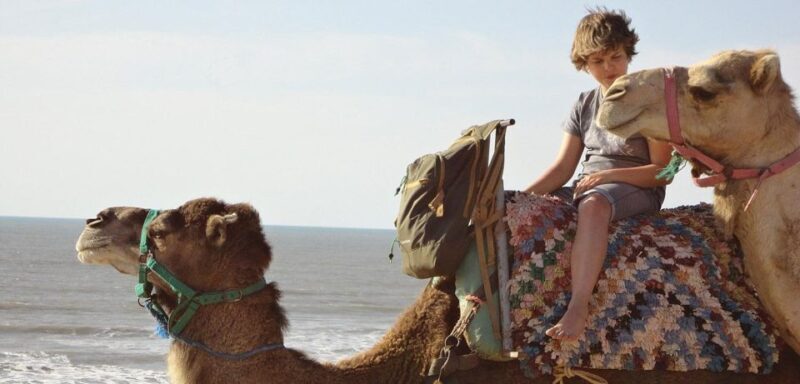 Essaouira: 2-Hour Camel Ride - Practical Tips for Your Camel Ride Adventure