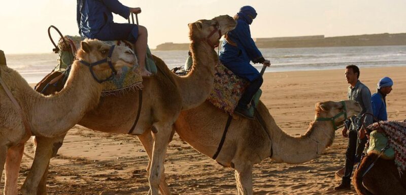 Essaouira: 2-Hour Camel Ride - FAQ — Your Questions Answered