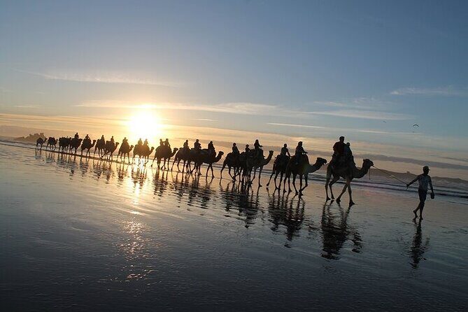 Essaouira: 2H/ Quad + 2H/ Dromedary free transfer - An Authentic Moroccan Adventure