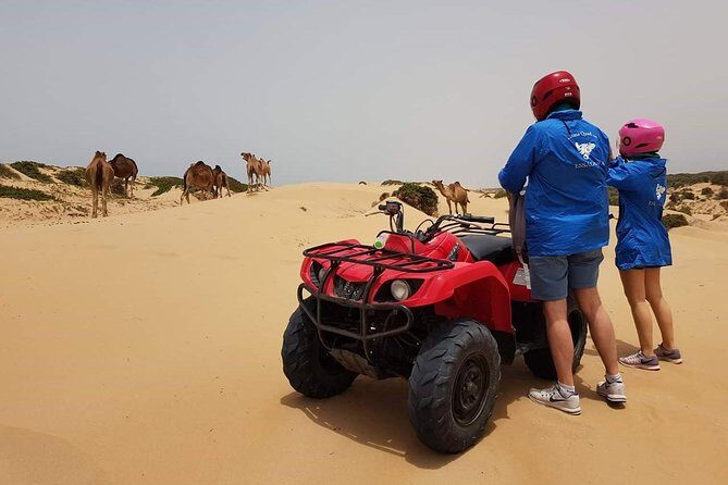 Essaouira: 2H/ Quad + 2H/ Dromedary free transfer - What We’ve Learned from Reviewers