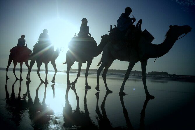 Essaouira: 2H/Quad+1H/Dromedary ride free transfer - FAQs