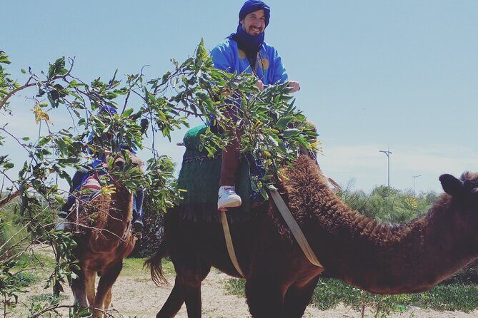 Essaouira: 3-Hour Camel Tour - Discovering the Essense of Essaouira’s Camel Ride Experience