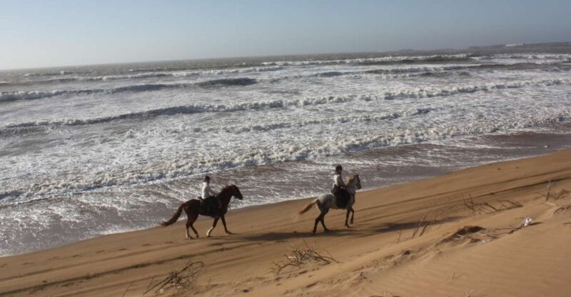 Essaouira: 3-Hour Horse Ride and Berber Tent Overnight - FAQ