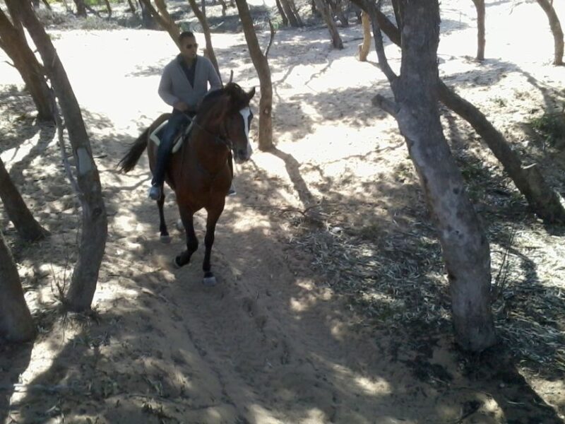 Essaouira: 3-Hour Horseback Ride - The Value of the Experience