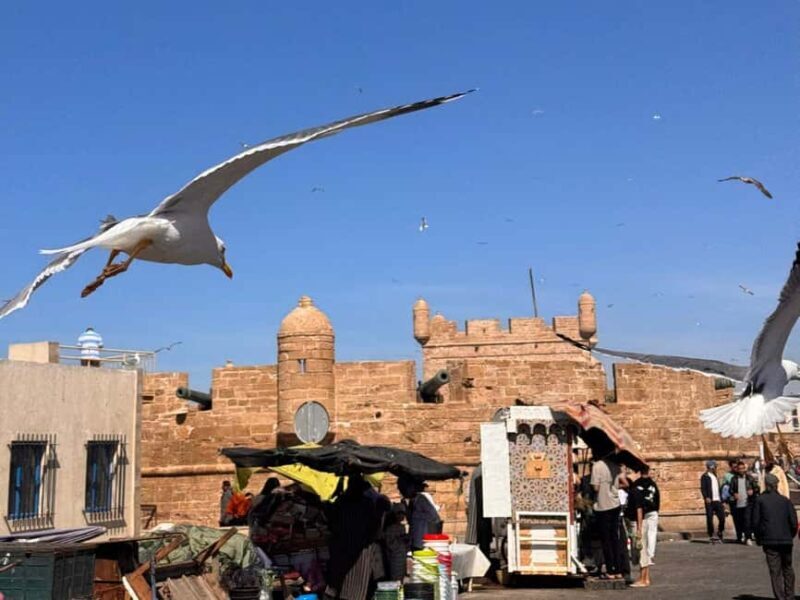 Essaouira and Atlantic Coast Full-Day Trip - Practical Tips for Your Trip