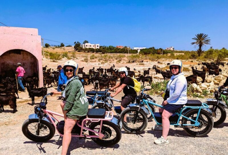 Essaouira: Area Highlights Guided E-Bike Tour - Authentic Insights from Reviews