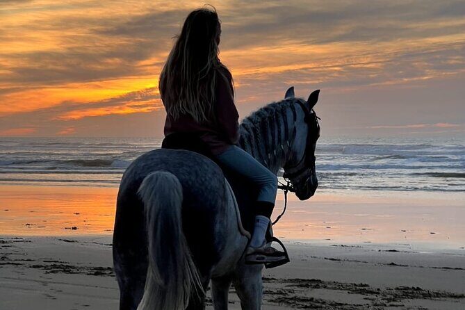 Essaouira Beach Horse Rides &Treks for All Levels - Practical Details and Considerations