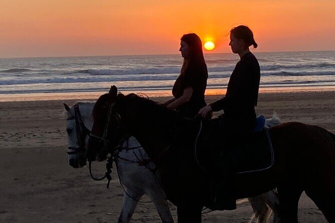 Essaouira Beach Horse Rides &Treks for All Levels - FAQ