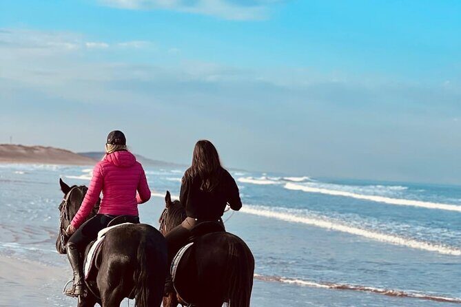 Essaouira Beach Horse Rides &Treks for All Levels - Final Thoughts