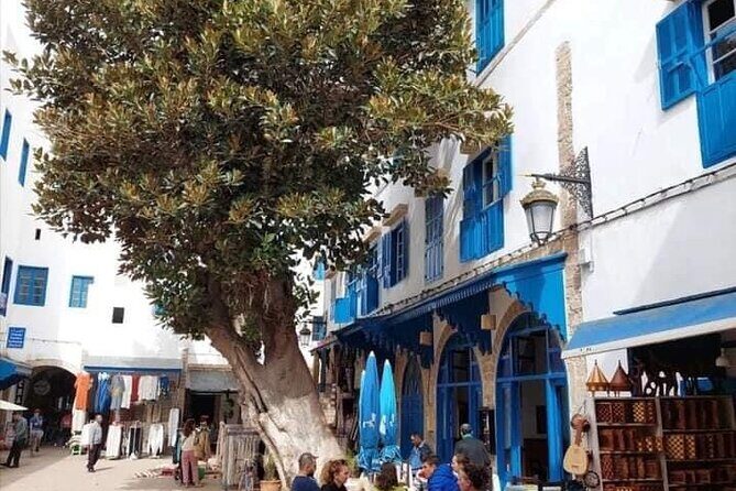 Essaouira city day trip from Marrakech - The Sum Up