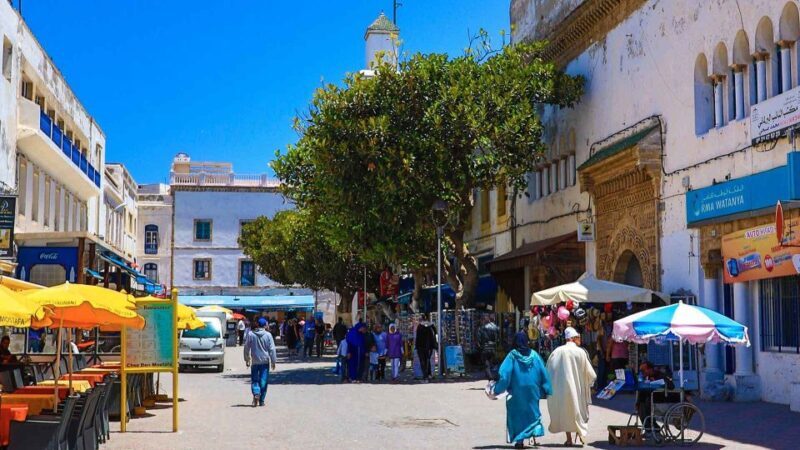 Essaouira Day Trip from Agadir - Key Points