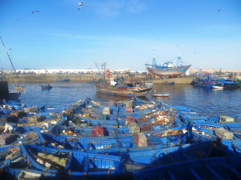 Essaouira Day Trip from Agadir - An In-Depth Look at the Essaouira Day Trip