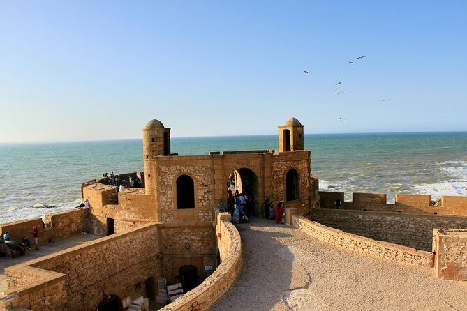 Essaouira Day Trip From Agadir or Taghazout - Transport & Group Size  