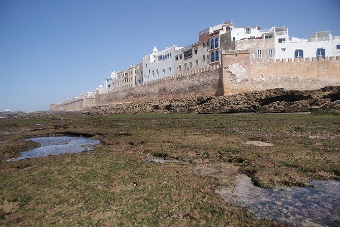 Essaouira Day Trip from Marrakech - Who Is This Tour Best For?