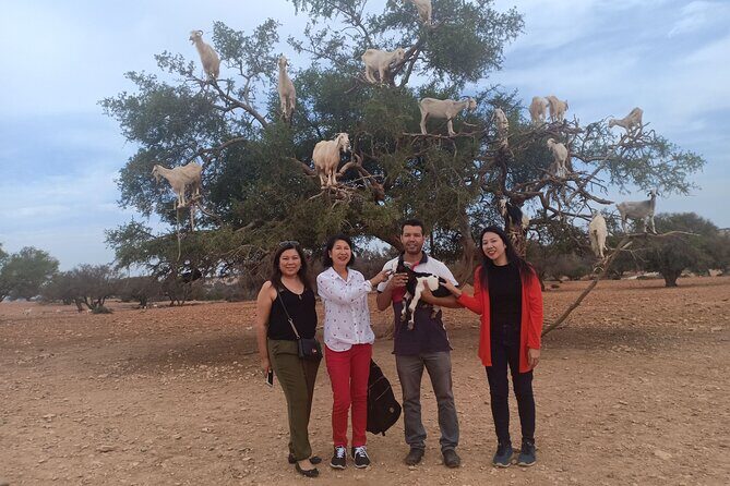 Essaouira Day Trip from Marrakech - Practical Considerations and Value