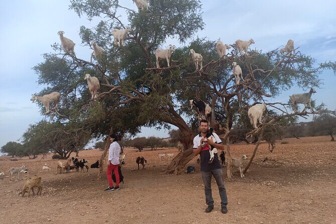 Essaouira Day Trip from Marrakech - Final Thoughts