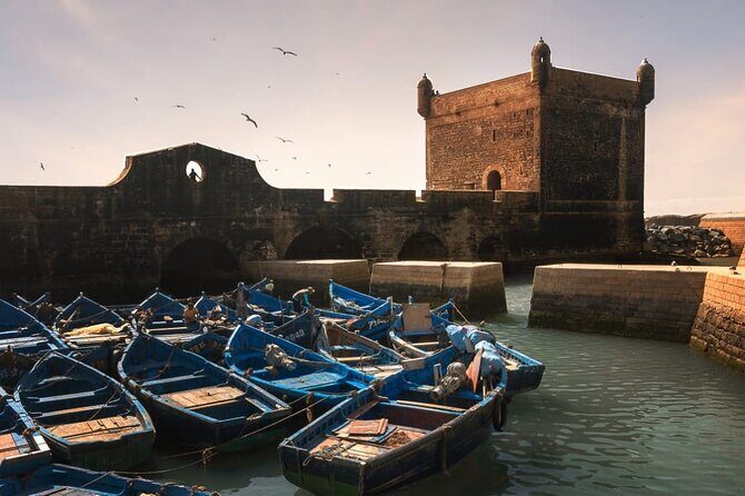 Essaouira day trip from Marrakech - Exploring the Essaouira Day Trip from Marrakech: A Complete Guide