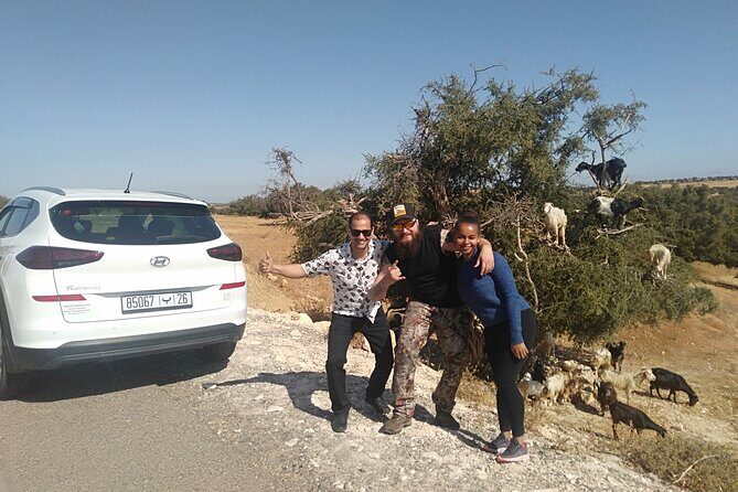 Essaouira Day Trip from Marrakech - The Sum Up