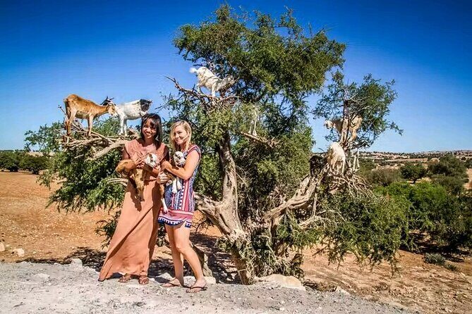 Essaouira Day Trip from Marrakech - FAQs