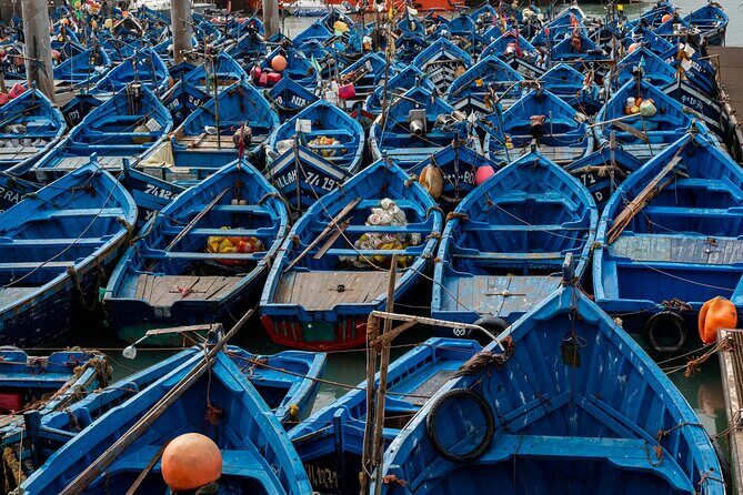 Essaouira Day Trip from Marrakech - Authentic Experiences and Practical Insights
