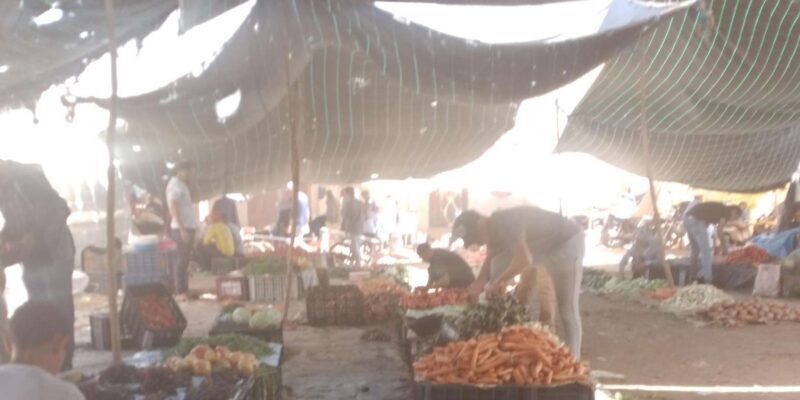 Essaouira Day Trip from Marrakech _ medina, old port - Final Thoughts