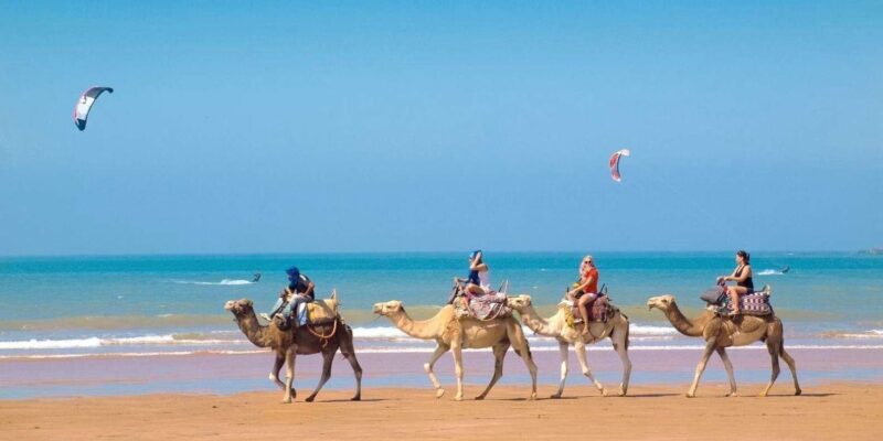 Essaouira Day Trip from Marrakech _ medina, old port - FAQ