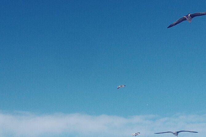 Essaouira day trip shared group - Authentic Cultural Encounters