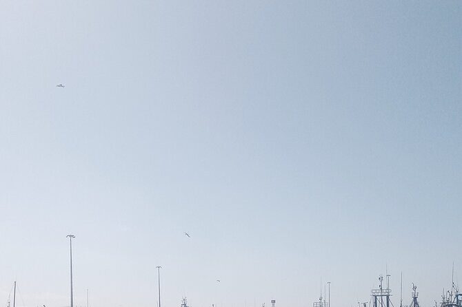 Essaouira day trip shared group - Final Thoughts