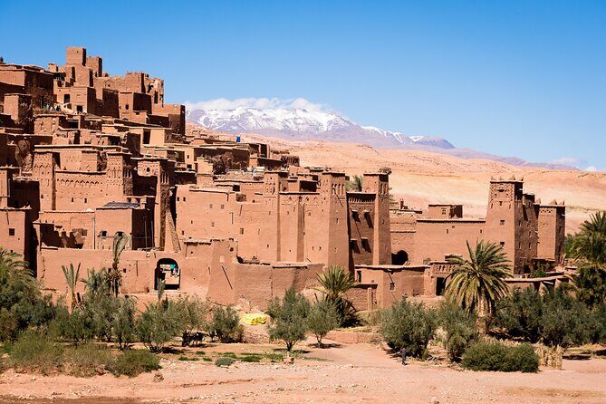 Essaouira Delight: A Marrakech Day Escape - The Authentic Experience: Insights from Reviews
