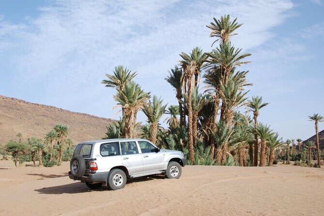 Essaouira Delight: A Marrakech Day Escape - The Bottom Line: Is It Worth It?