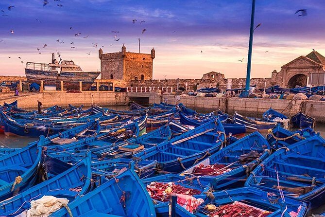 Essaouira  Every Surfers Dream (privé) - What’s Included and What’s Not
