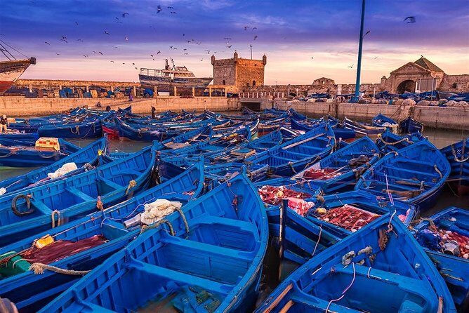 Essaouira excursion 1 day departure from Agadir - Key Points