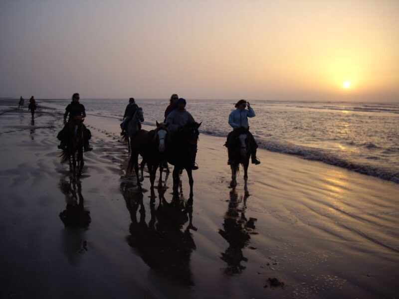Essaouira: Full-Day Horse Riding Tour with Lunch - Key Points