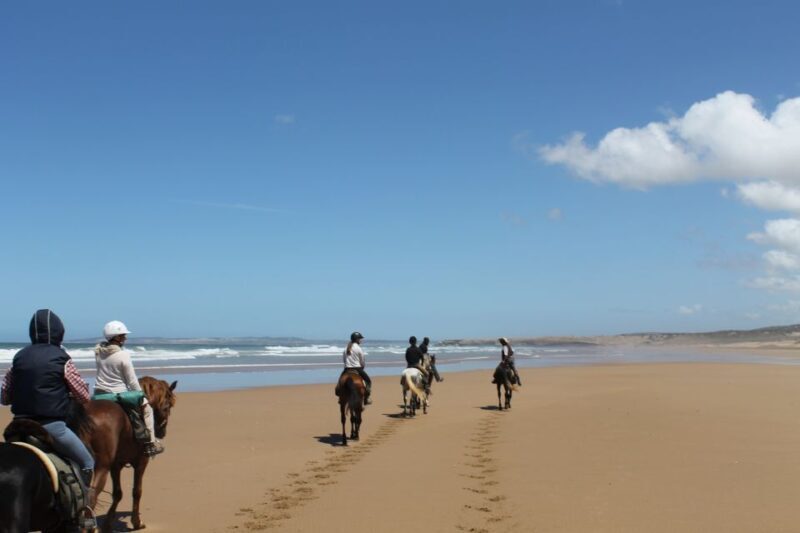 Essaouira: Full-Day Horse Riding Tour with Lunch - An Overview of the Full-Day Horseback Adventure