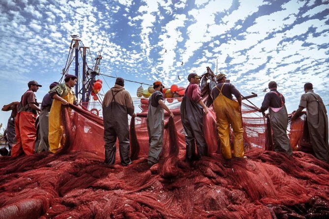Essaouira Full Day Trip - Who Would Love This Tour?