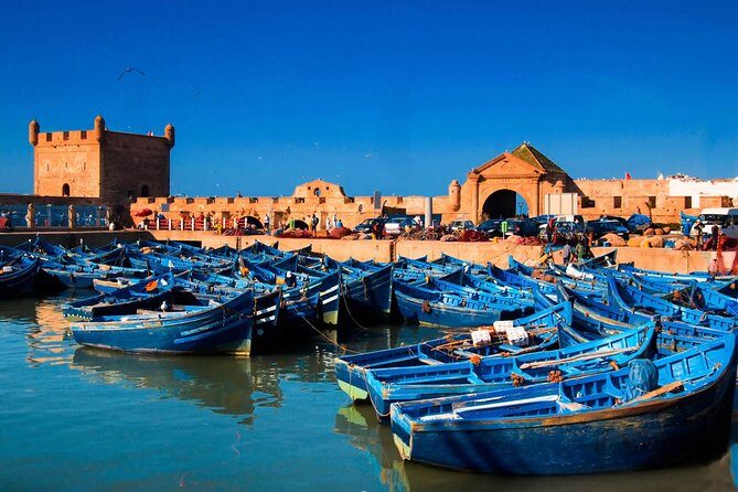 Essaouira-Full-Day-Trip-From-Marrakech - What Do Travelers Say?  