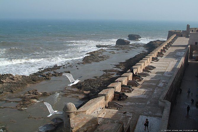 Essaouira full-Day Trip From Marrakech - Discovering Essaouira: The Medinas, Ports, and Gates