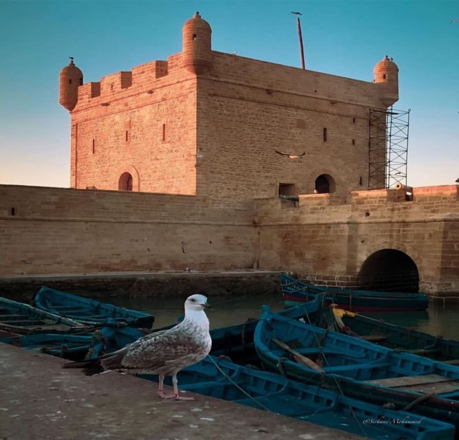 Essaouira Full Day Trip From Marrakech - Key Points