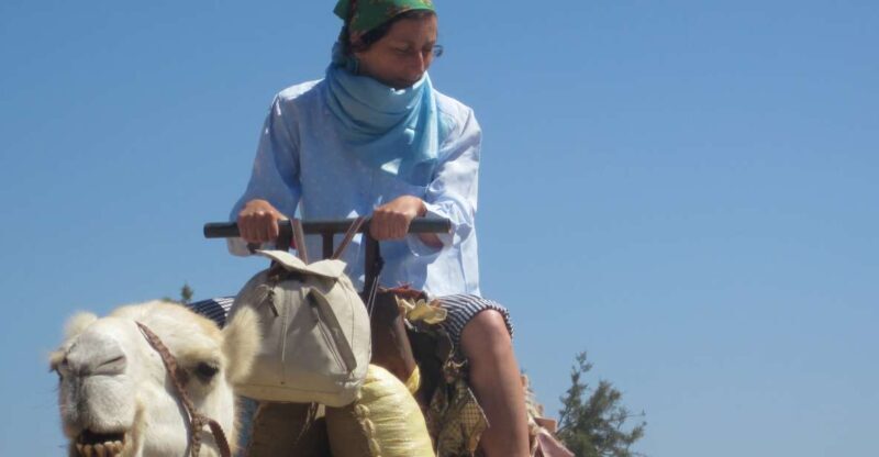 Essaouira: Guided 2h Dromedary Riding with sunset - The Experience in Detail