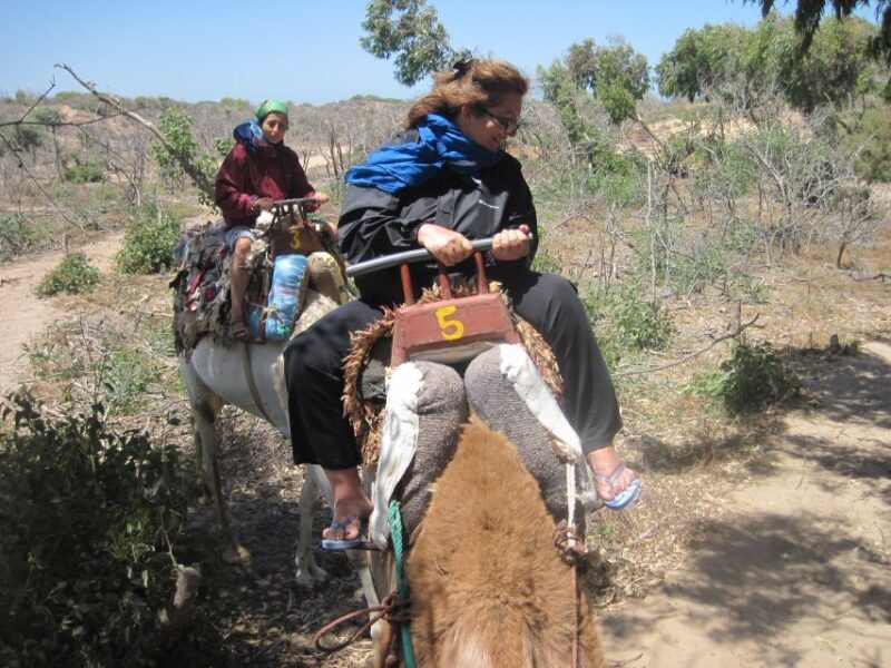 Essaouira: Guided 2h Dromedary Riding with sunset - Authenticity and Quality