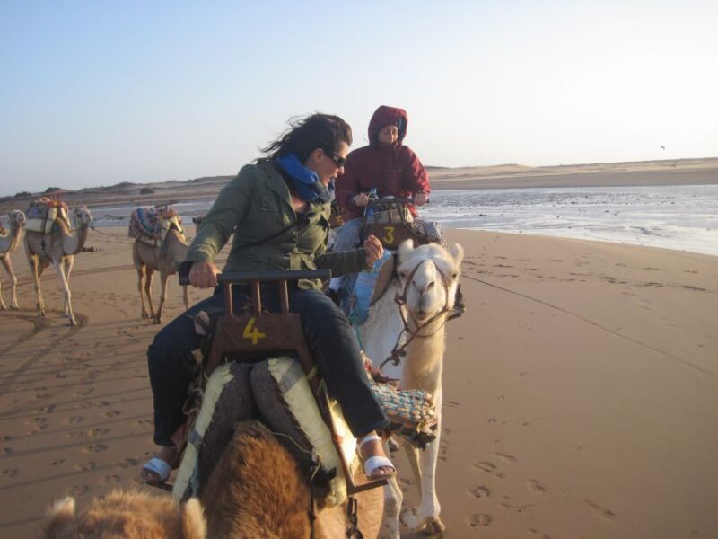 Essaouira: Guided Dromedary Riding Tour - Who Will Love This Tour?